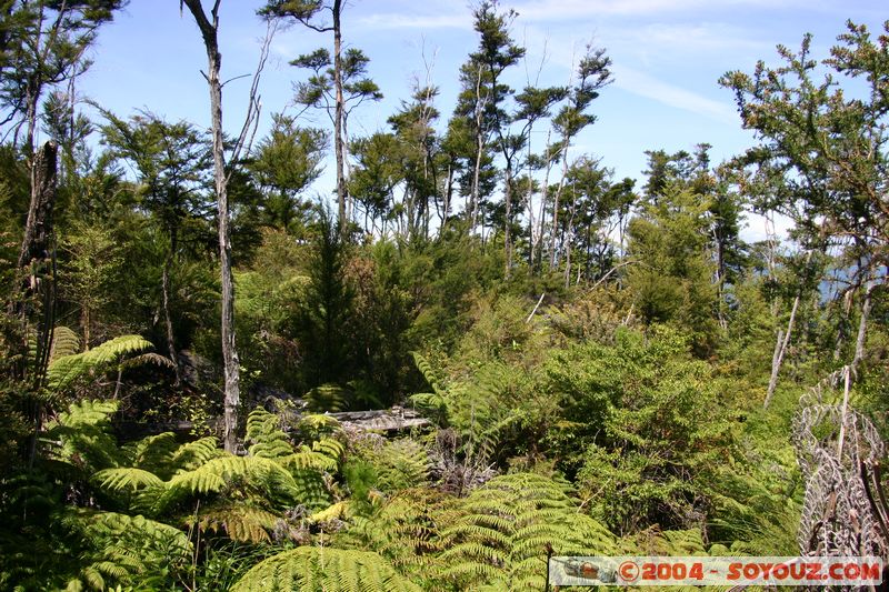 Abel Tasman National Park - Sandy Bay
Mots-clés: New Zealand South Island mer plage