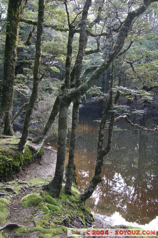 Abel Tasman National Park - Pikikiruna Range
Mots-clés: New Zealand South Island