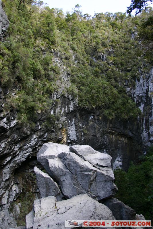Abel Tasman National Park - Harwood Hole
Mots-clés: New Zealand South Island Arbres
