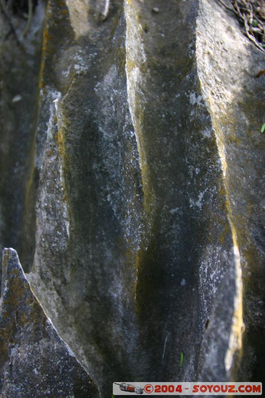 Abel Tasman National Park - Harwood Hole
Mots-clés: New Zealand South Island