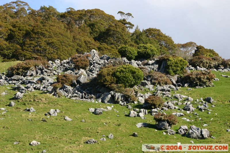 Abel Tasman National Park - Pikikiruna Range
Mots-clés: New Zealand South Island
