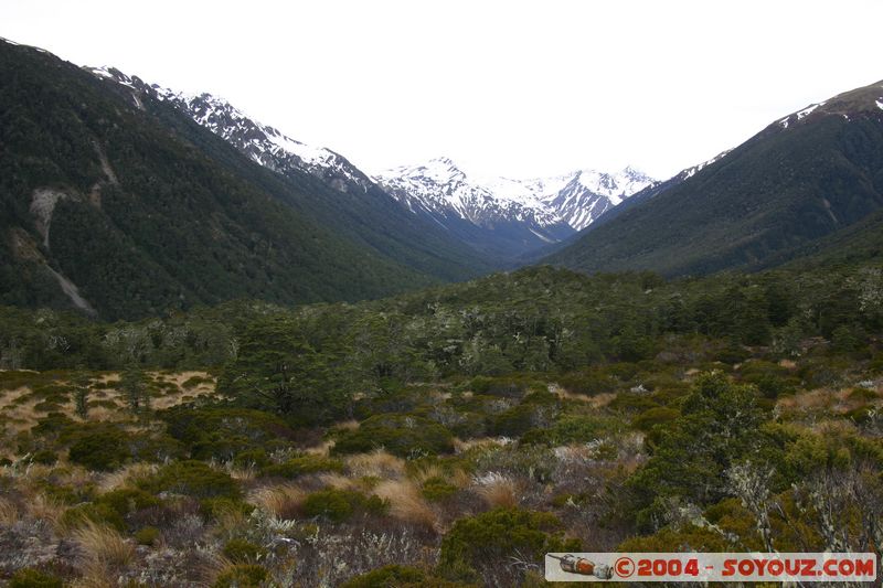 Lewis Pass
Mots-clés: New Zealand South Island Montagne Neige