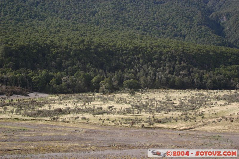 Along State Highway 7
Mots-clés: New Zealand South Island Arbres