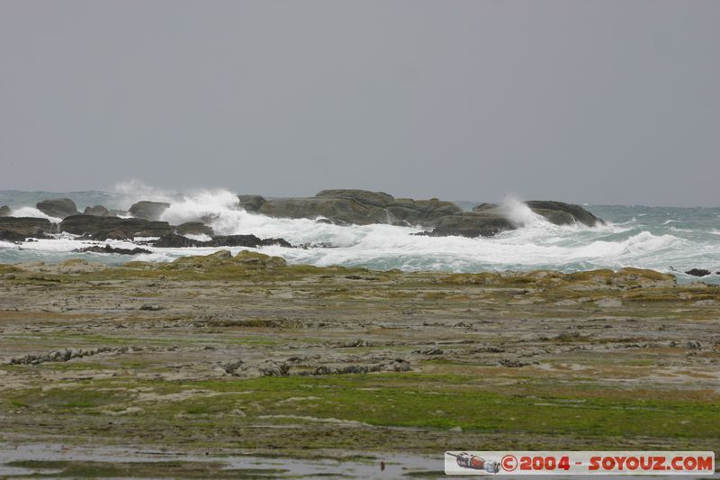 Kaikoura
Mots-clés: New Zealand South Island mer