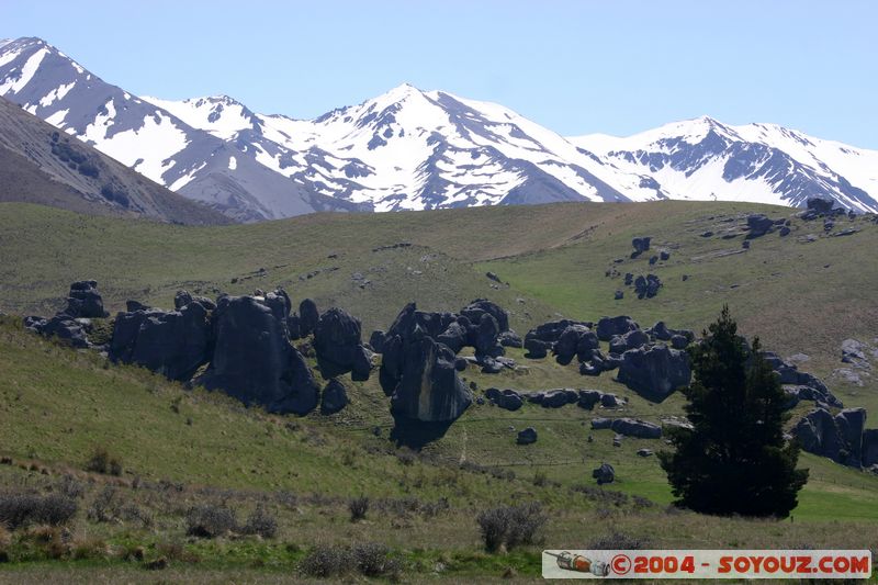 Craigieburn Forest Park
Mots-clés: New Zealand South Island Montagne Neige