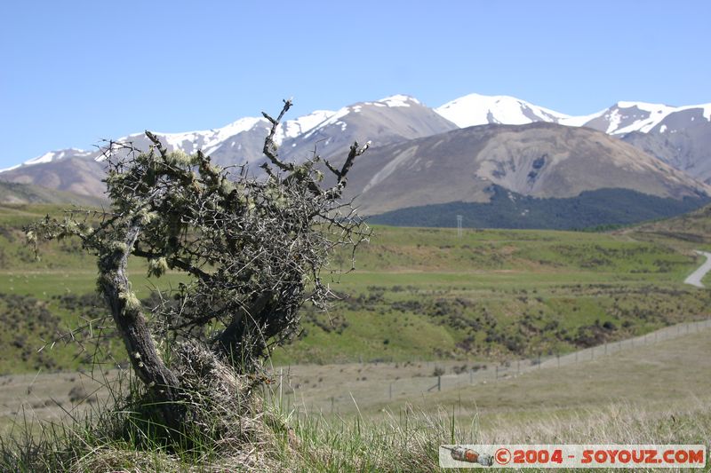 Cave Stream Scenic Reserve
Mots-clés: New Zealand South Island Montagne Arbres