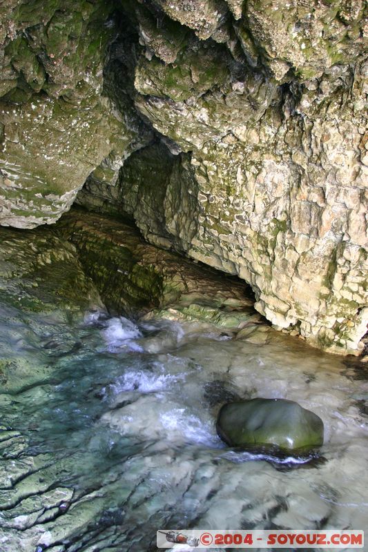 Cave Stream Scenic Reserve - Cave inlet
Mots-clés: New Zealand South Island grotte Riviere