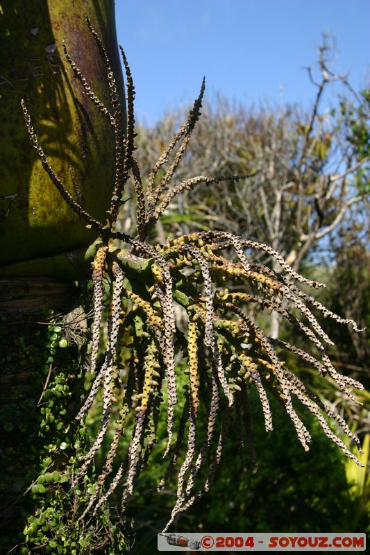 Punakaiki
Mots-clés: New Zealand South Island