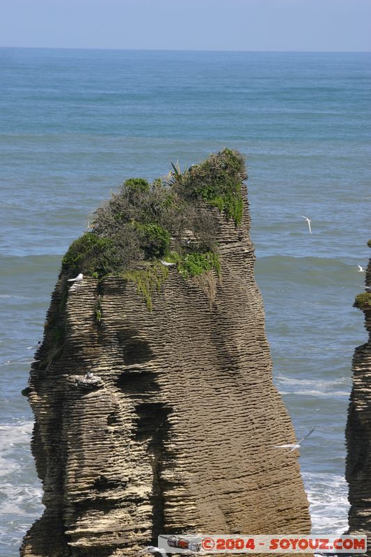 Punakaiki
Mots-clés: New Zealand South Island mer