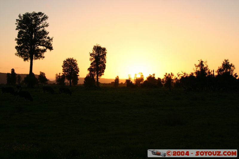 Fox Glacier - Near the coast - Sunset
Mots-clés: New Zealand South Island sunset