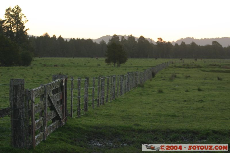 Fox Glacier - Near the coast
Mots-clés: New Zealand South Island