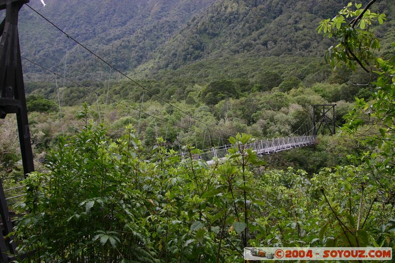 Fox Glacier
Mots-clés: New Zealand South Island Riviere patrimoine unesco