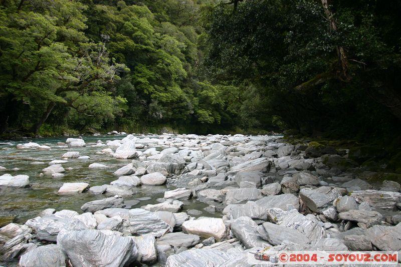Haast Pass - Thunder Creek Falls
Mots-clés: New Zealand South Island Riviere