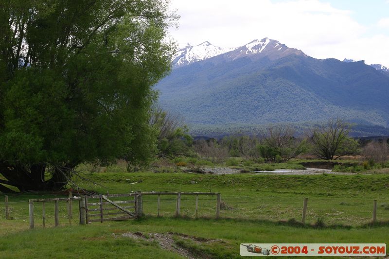 Te Anau / Milford Highway
Mots-clés: New Zealand South Island Montagne