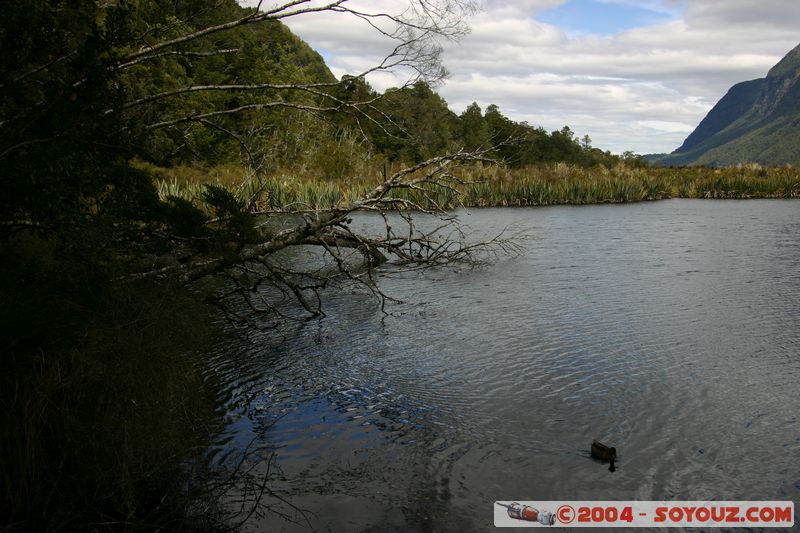 Te Anau / Milford Highway - Knobs Flat
Mots-clés: New Zealand South Island Montagne Lac patrimoine unesco