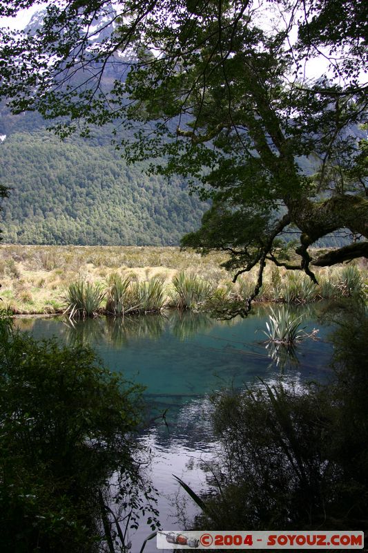Te Anau / Milford Highway - Knobs Flat
Mots-clés: New Zealand South Island Lac patrimoine unesco
