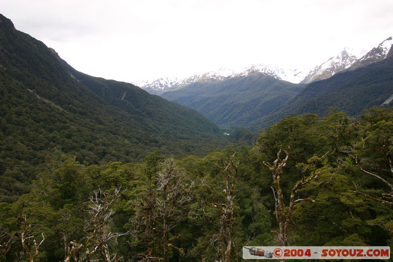 Te Anau / Milford Highway - The Divide
Mots-clés: New Zealand South Island patrimoine unesco