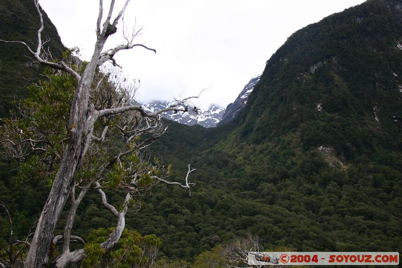Te Anau / Milford Highway - The Divide
Mots-clés: New Zealand South Island patrimoine unesco