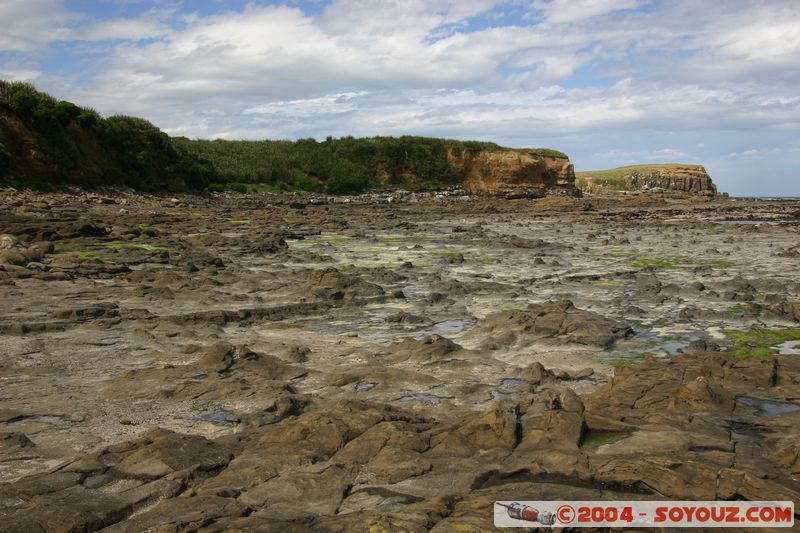 The Catlins - Curio Bay - Fossil Forest
Mots-clés: New Zealand South Island Fossile