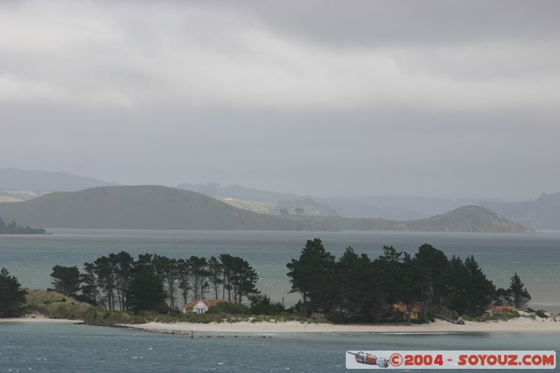 Otago Peninsula
Mots-clés: New Zealand South Island