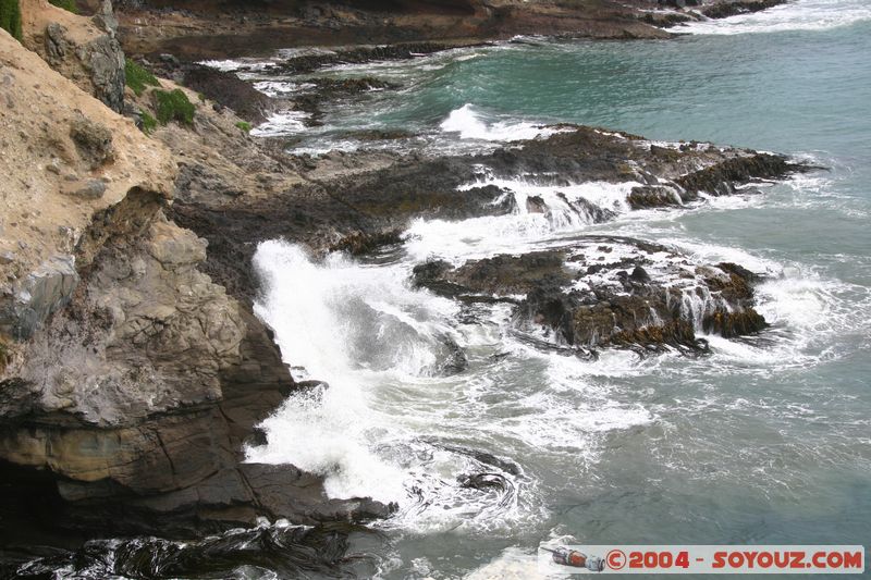 Otago Peninsula
Mots-clés: New Zealand South Island