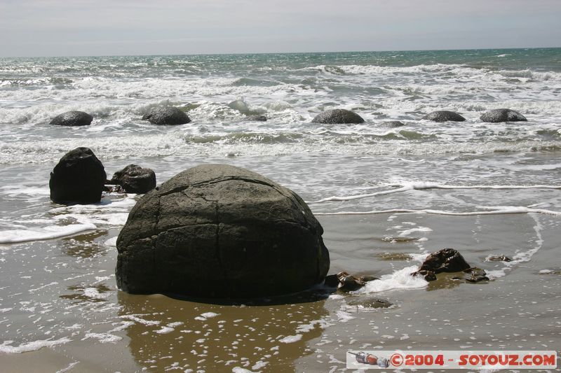 Moeraki Boulders
Mots-clés: New Zealand South Island plage mer