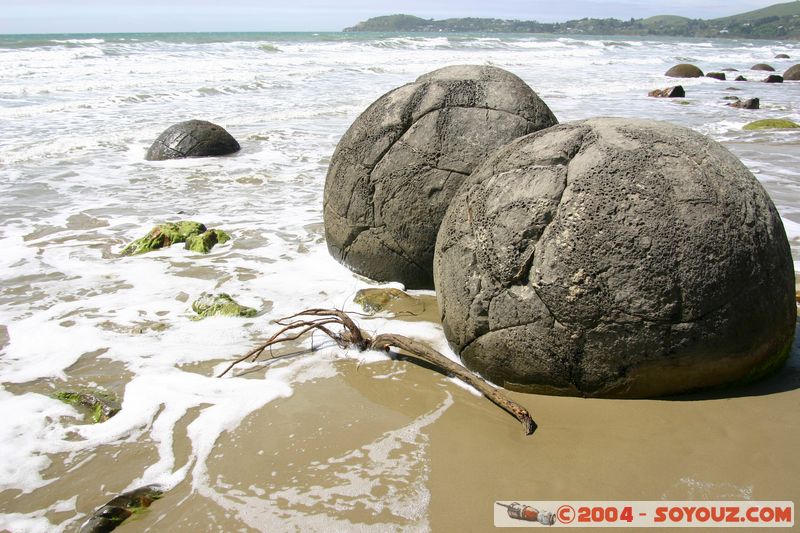 Moeraki Boulders
Mots-clés: New Zealand South Island plage