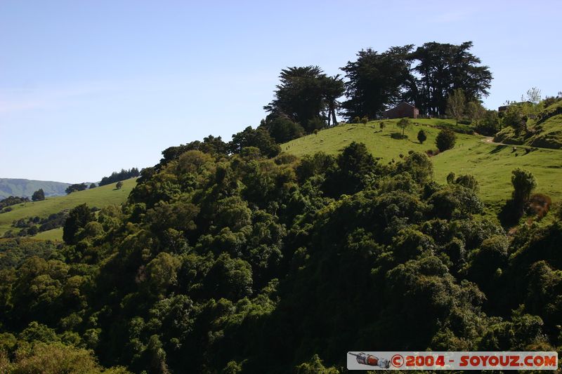 Banks Peninsula
Mots-clés: New Zealand South Island