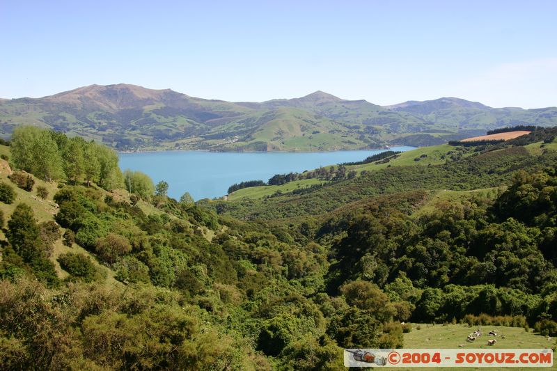 Banks Peninsula
Mots-clés: New Zealand South Island