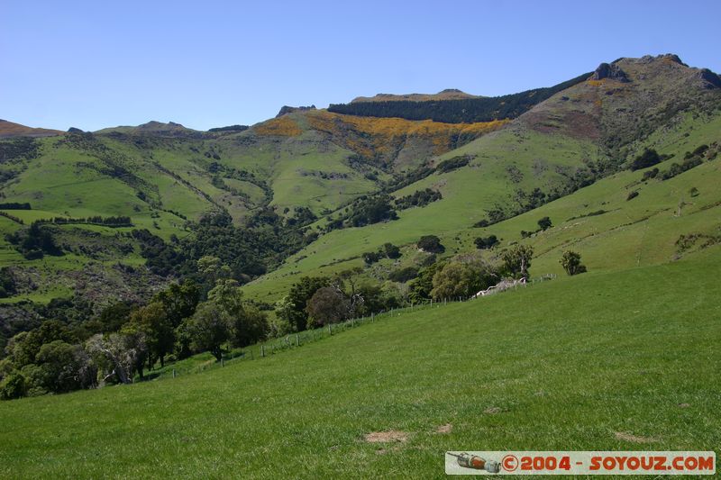 Banks Peninsula
Mots-clés: New Zealand South Island