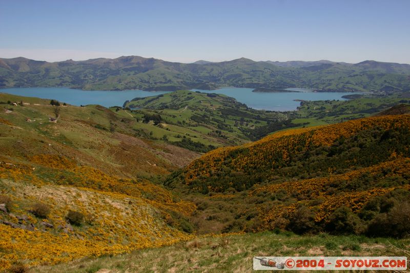 Banks Peninsula - Onawe Peninsula
Mots-clés: New Zealand South Island