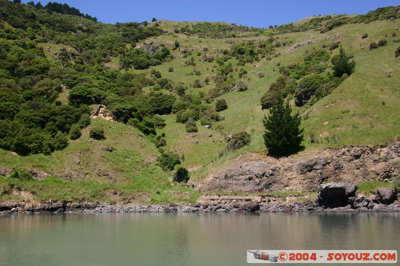 Banks Peninsula - Le Bons Bay
Mots-clés: New Zealand South Island mer