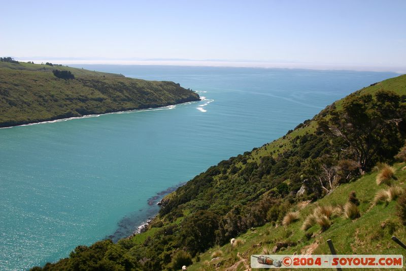 Banks Peninsula - Little Akaloa Bay
Mots-clés: New Zealand South Island mer