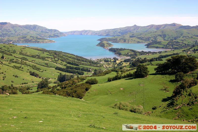 Banks Peninsula - Onawe Peninsula
Mots-clés: New Zealand South Island mer