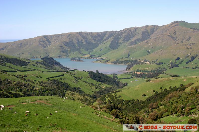 Banks Peninsula - Port Levy
Mots-clés: New Zealand South Island