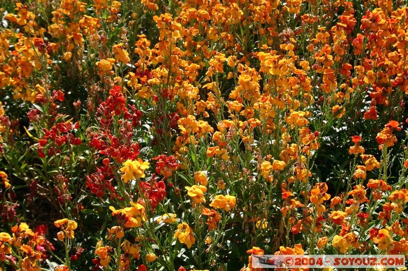 Christchurch - Victoria Square
Mots-clés: New Zealand South Island