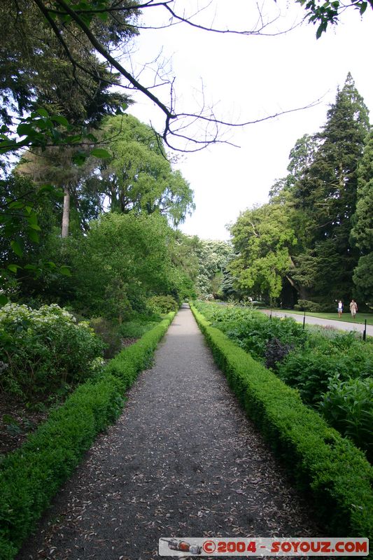 Christchurch - Botanic Gardens
Mots-clés: New Zealand South Island fleur
