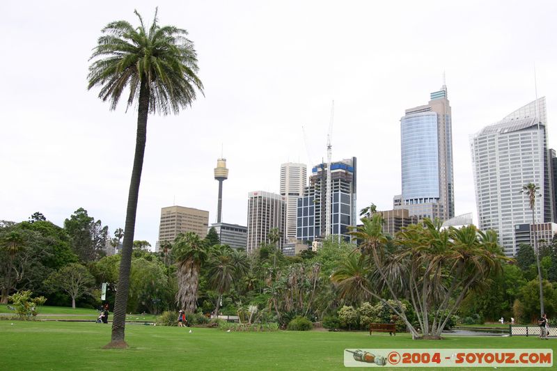 Sydney - Royal Botanical Garden
