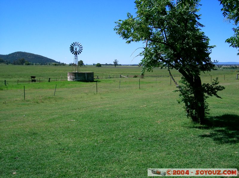 Gunnedah - countryside
