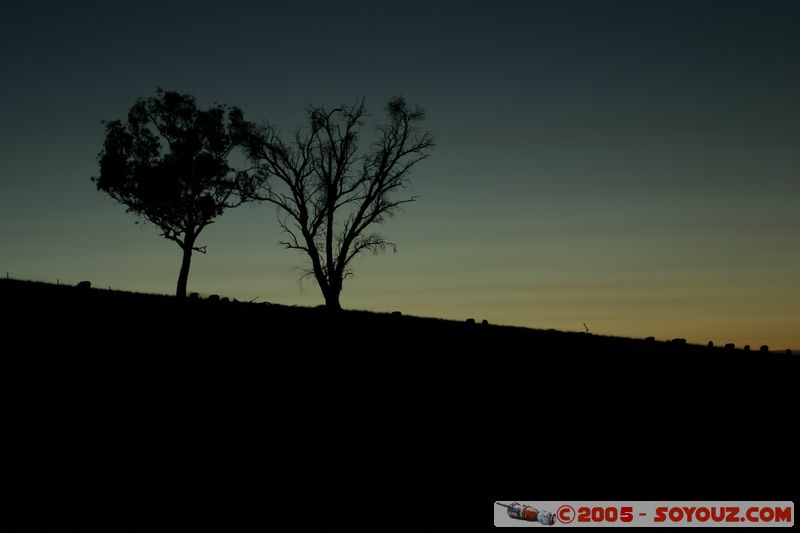 Cowra - Dusk time
Mots-clés: Nuit sunset