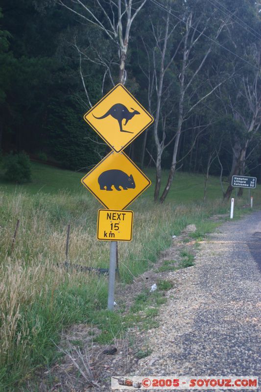 Blue Mountains - Australian Roadsign

