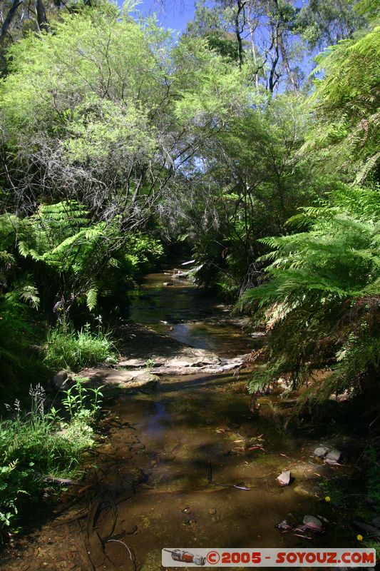 Blue Mountains
Mots-clés: patrimoine unesco