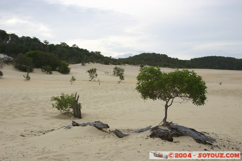 Fraser Island - Lake Wabby
Mots-clés: patrimoine unesco