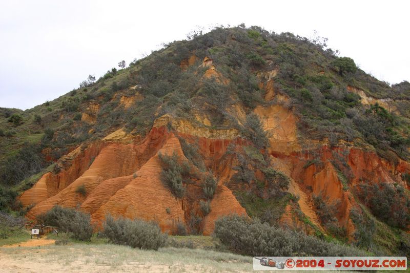 Fraser Island - Cooloola sandpatch
