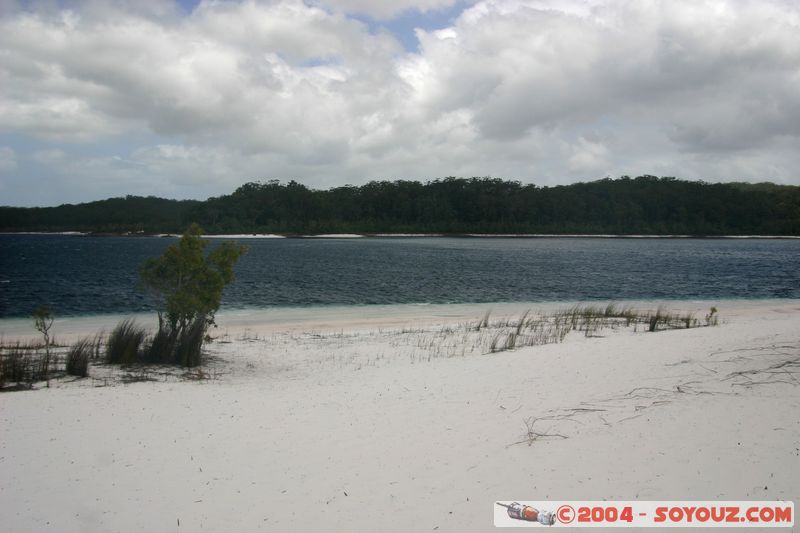 Fraser Island - McKenzie lake
Mots-clés: patrimoine unesco