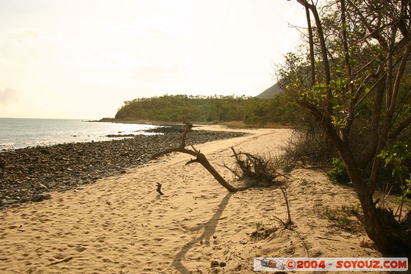 On the road to Cap Tribulation
