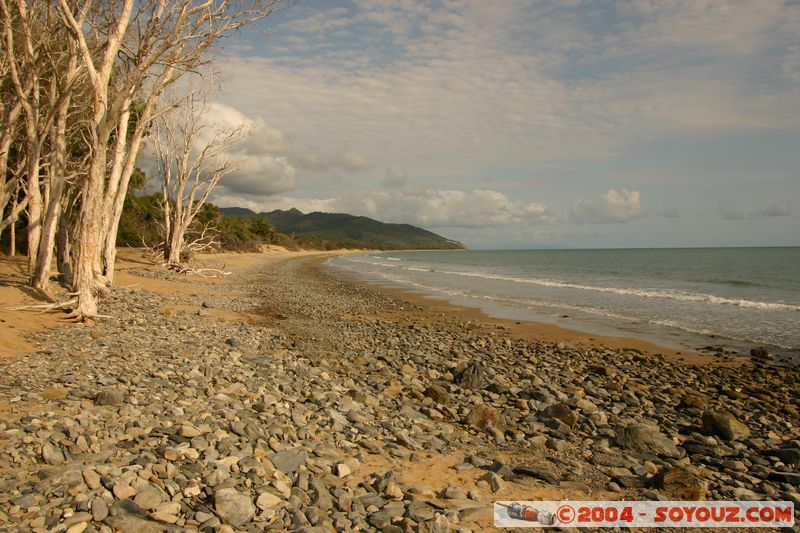 On the road to Cap Tribulation
