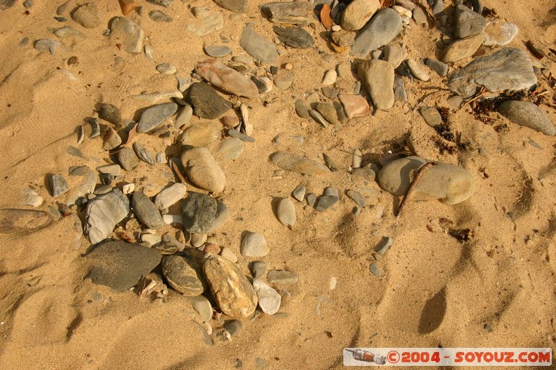 On the road to Cap Tribulation
