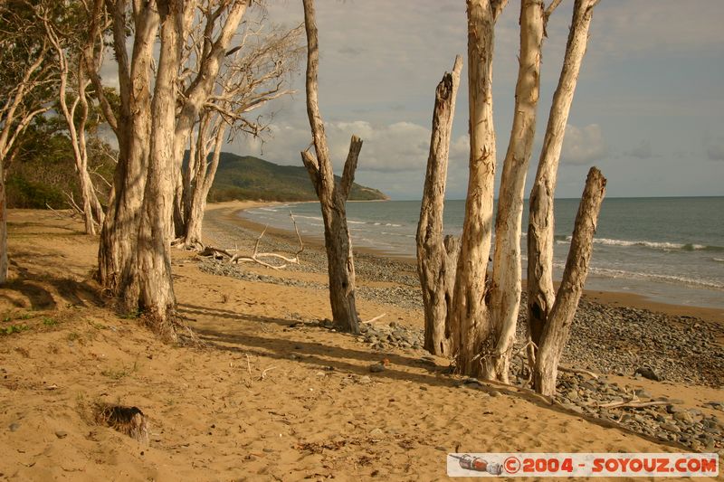 On the road to Cap Tribulation
