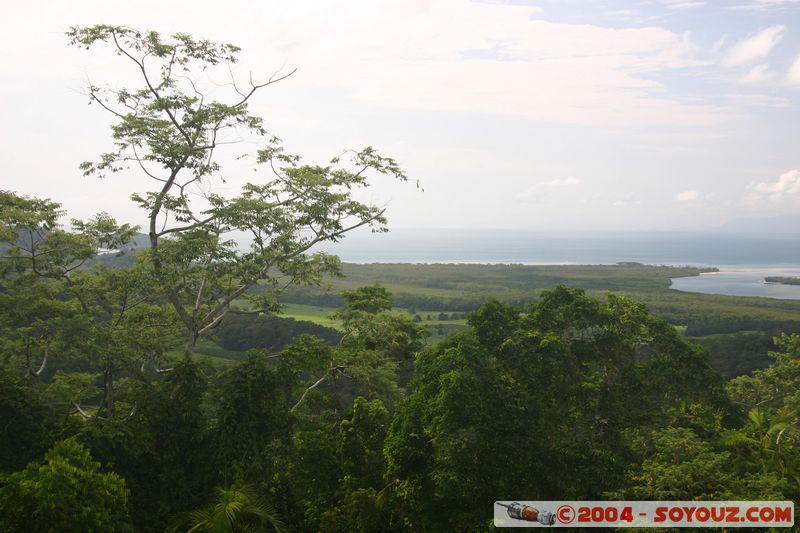 On the road to Cap Tribulation
